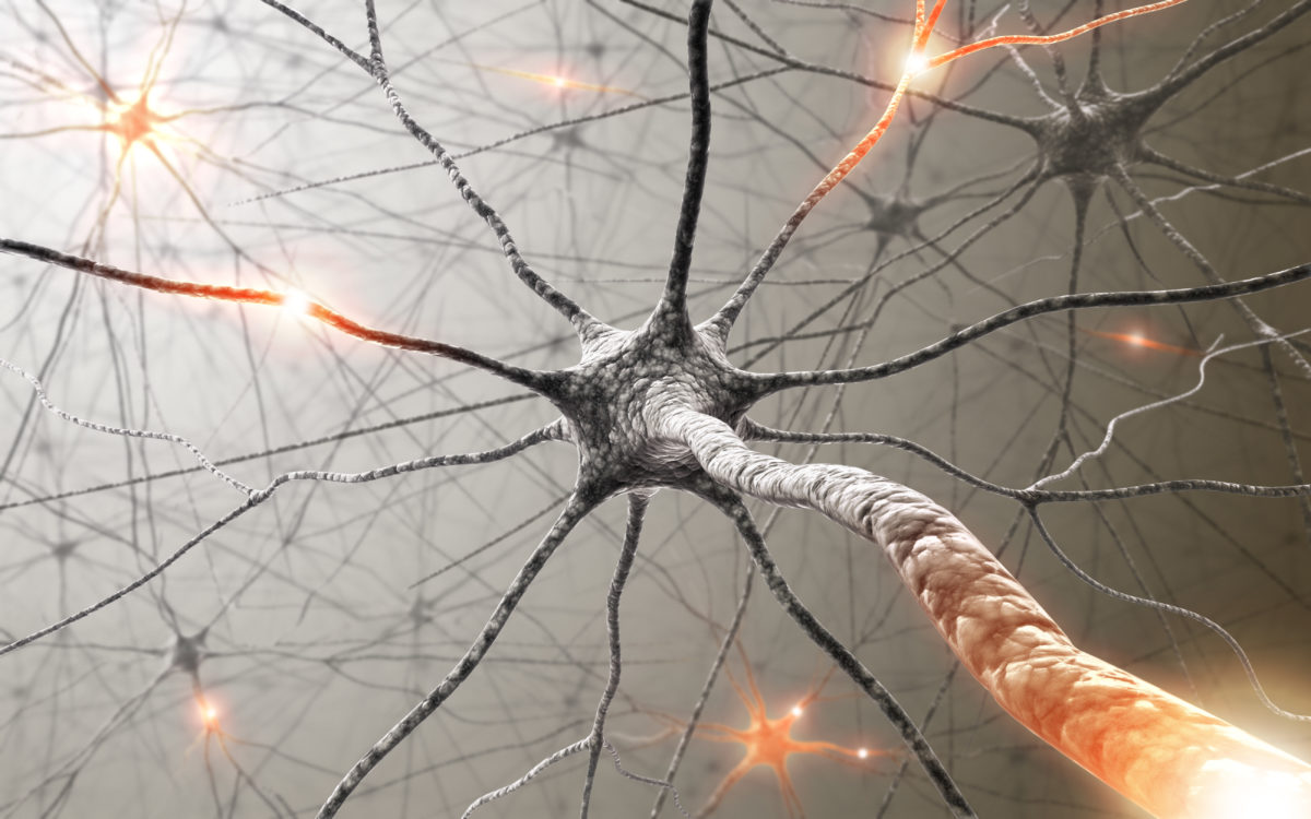 Un hallazgo científico puede abrir la vía a reparar la mielina