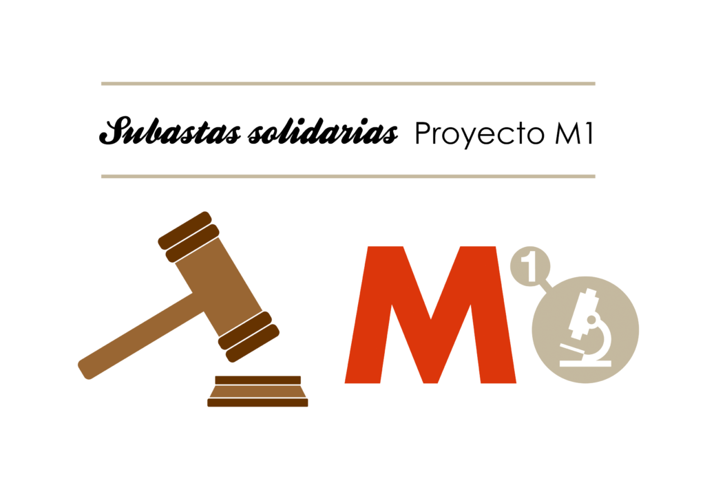 Subastas solidarias Proyecto M1