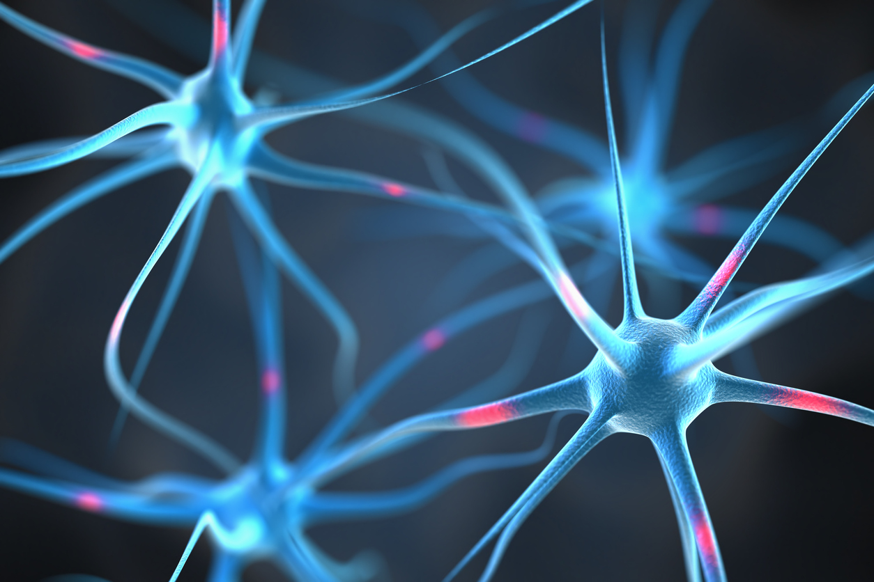 Una investigación identifica un posible interruptor molecular para la regeneración de la mielina en Esclerosis Múltiple