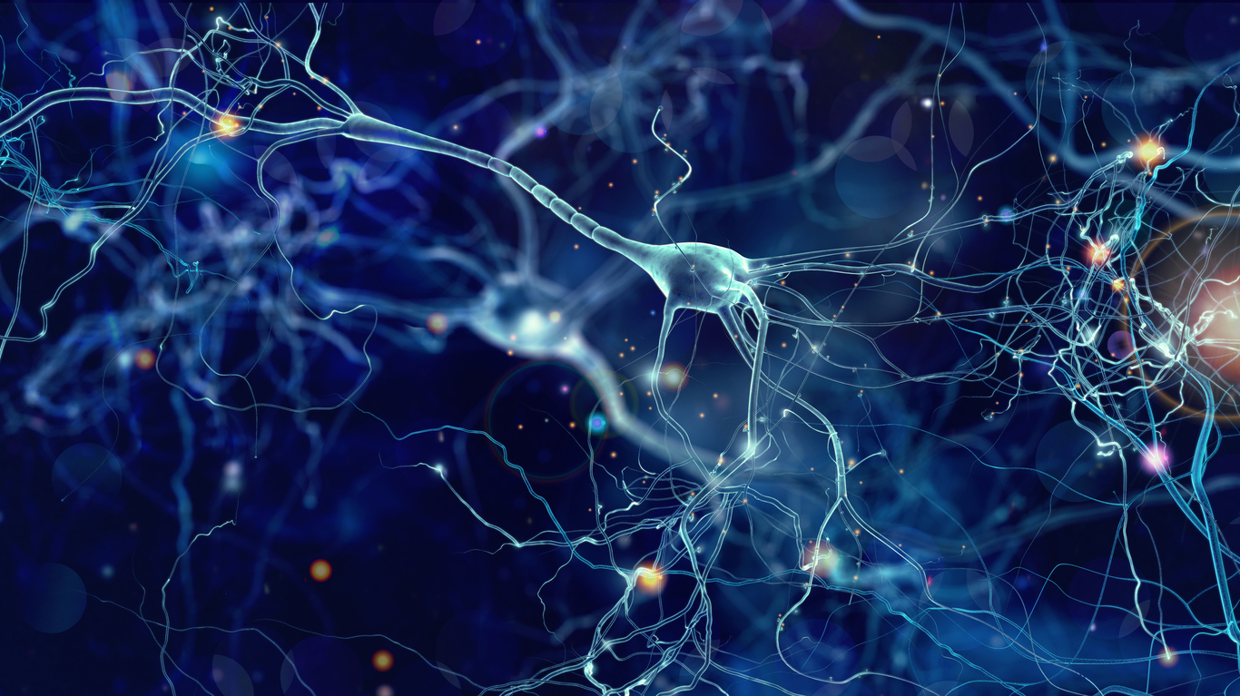 Nueva evidencia vuelve a relacionar la molécula NfL con la Esclerosis Múltiple
