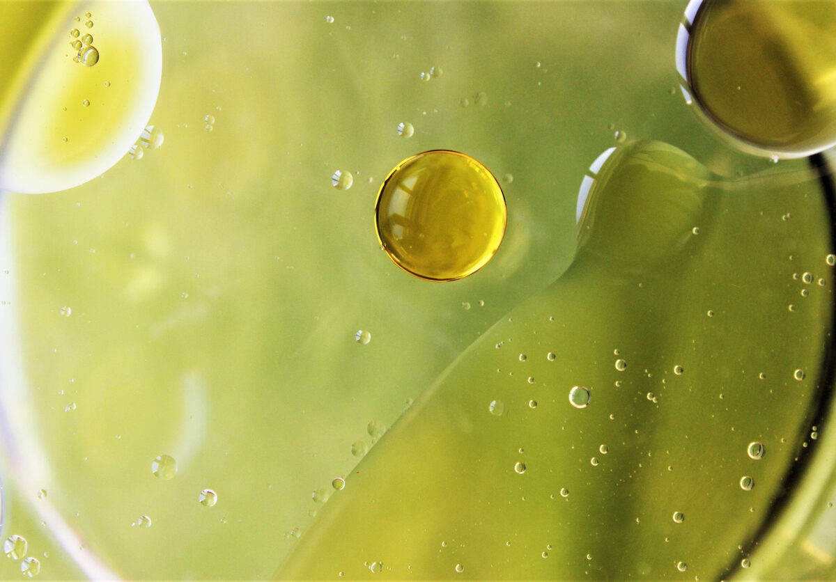 Científicos señalan que componente del aceite de oliva virgen extra protege frente a la Esclerosis Múltiple en ratones