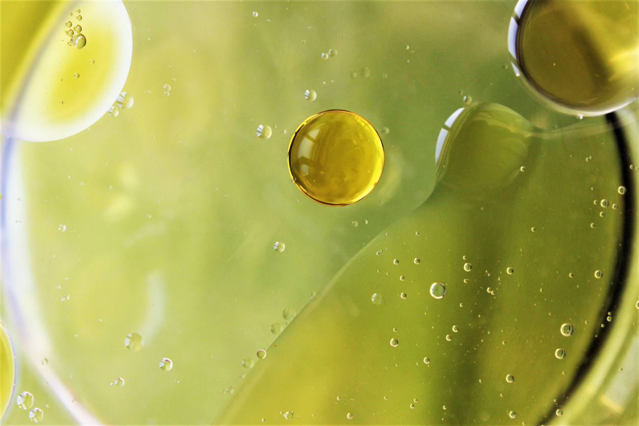 Científicos señalan que componente del aceite de oliva virgen extra protege frente a la Esclerosis Múltiple en ratones