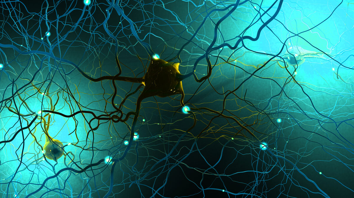 Una investigación identifica un tipo de células nerviosas que se pierden en la Esclerosis Múltiple