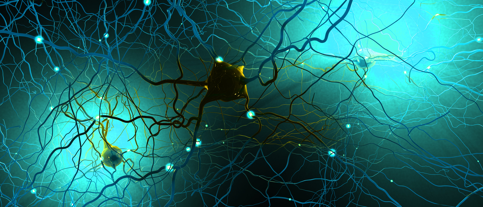 Una investigación identifica un tipo de células nerviosas que se pierden en la Esclerosis Múltiple