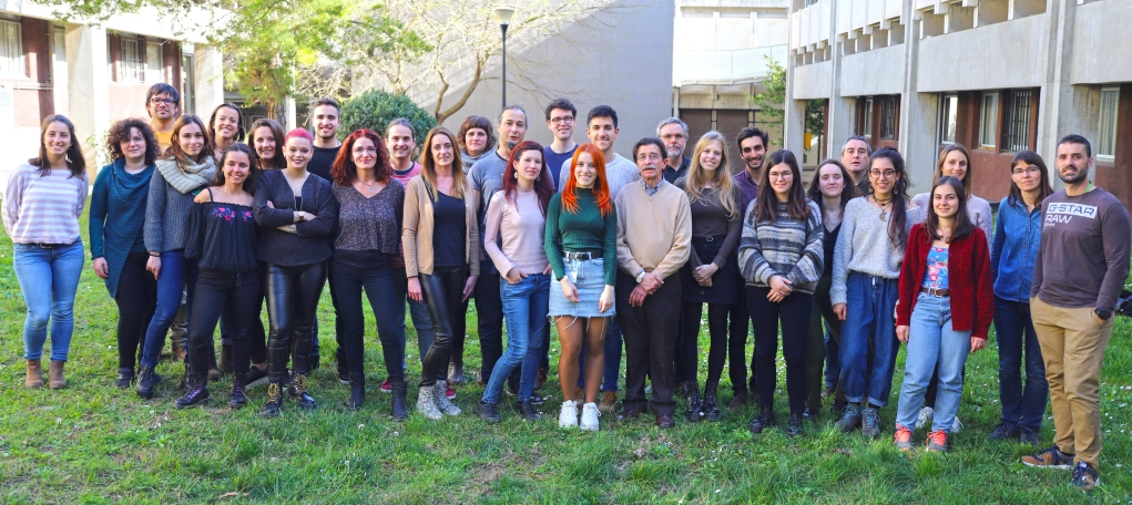 Grupo de Neuroplasticidad y Regeneración del Institut de Neurociències de la Universitat Autònoma de Barcelona (INc-UAB)