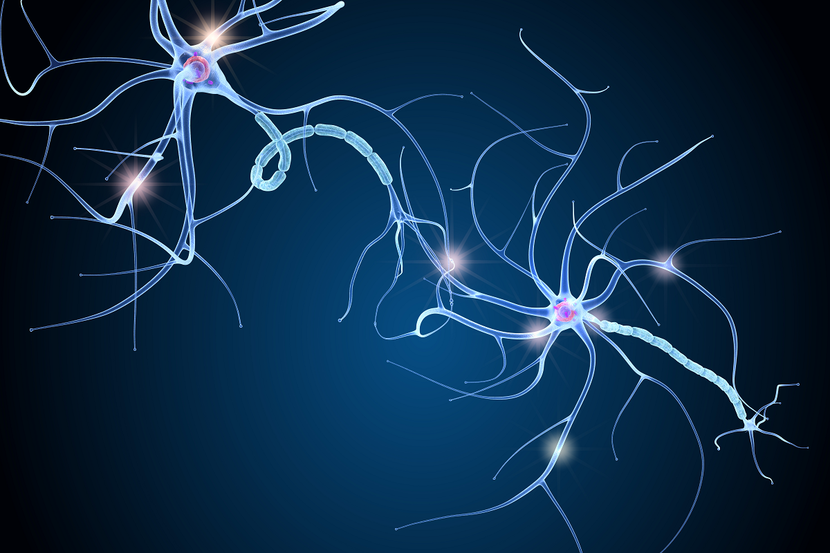 Una terapia para la espasticidad puede ayudar a reparar la mielina
